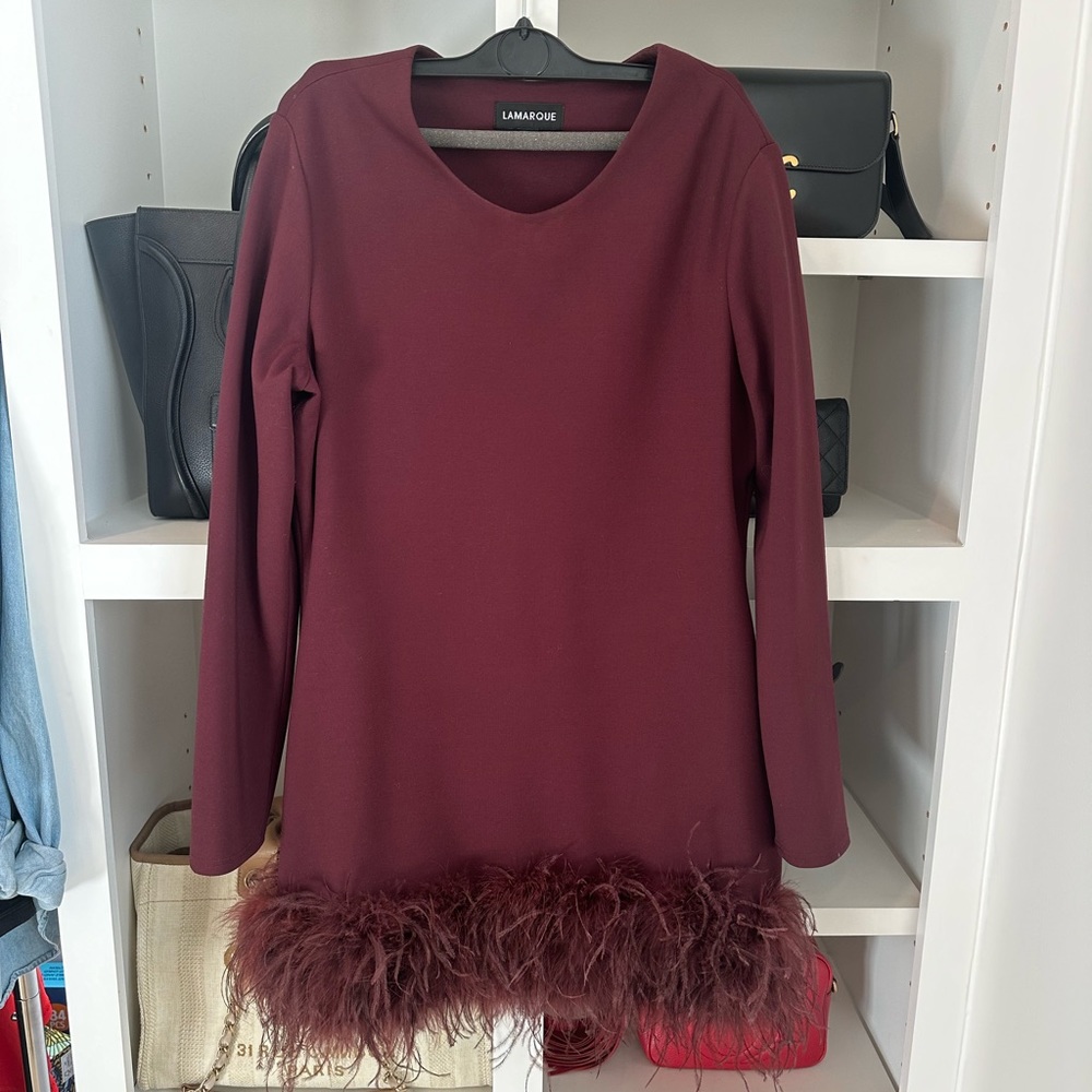 Lamarque mini dress with feathers